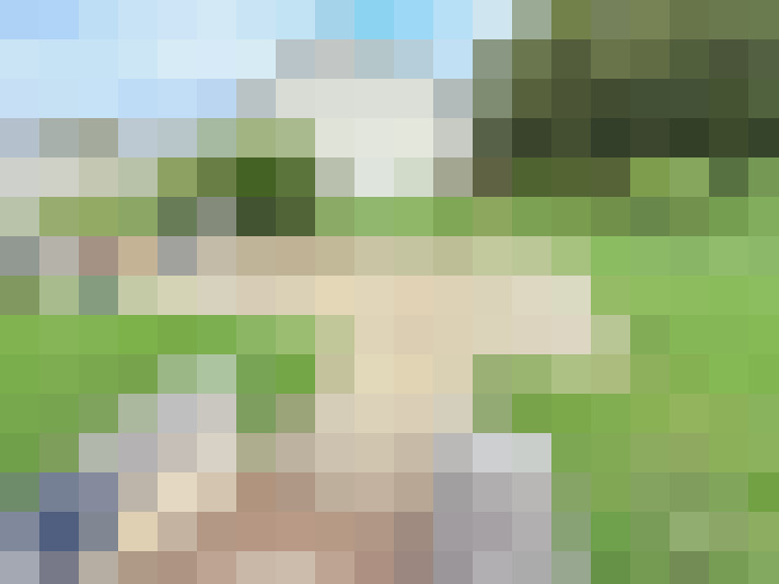  / #6
