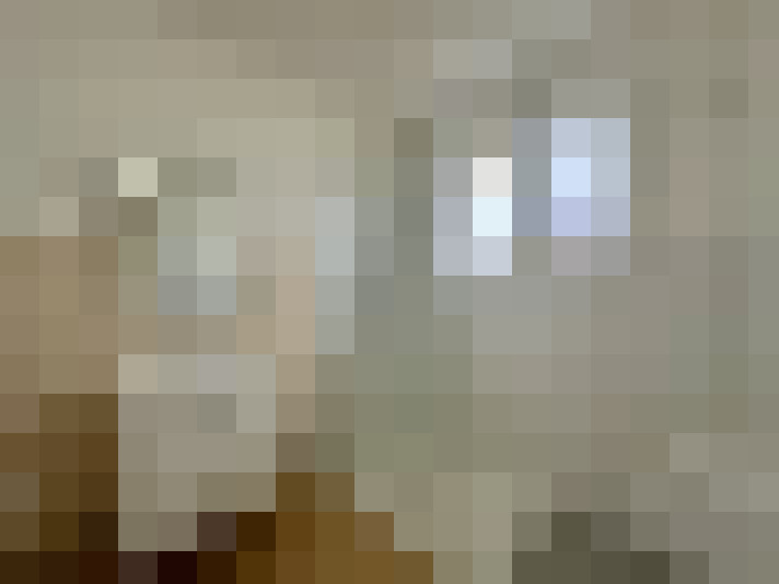  / #8
