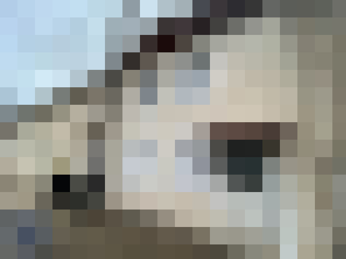  / #11