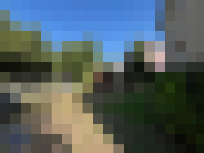  / #17