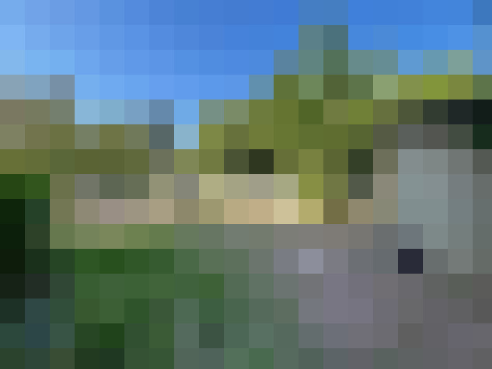  / #16