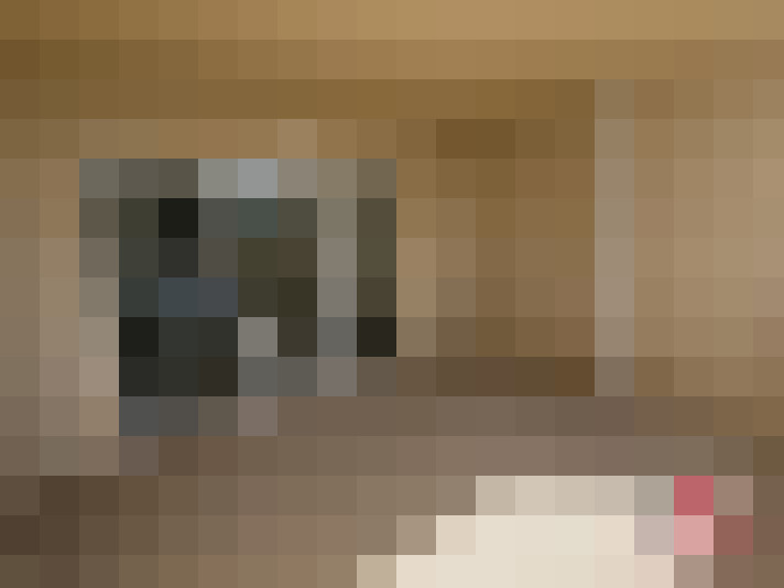 / #11