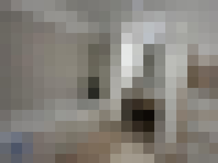  / #7