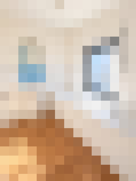  / #7
