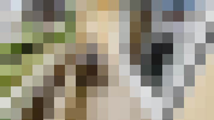  / #14