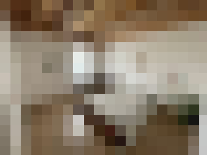  / #7
