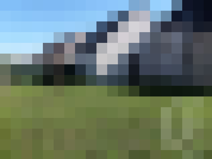  / #7