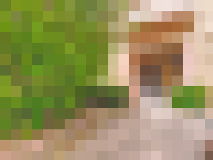  / #17