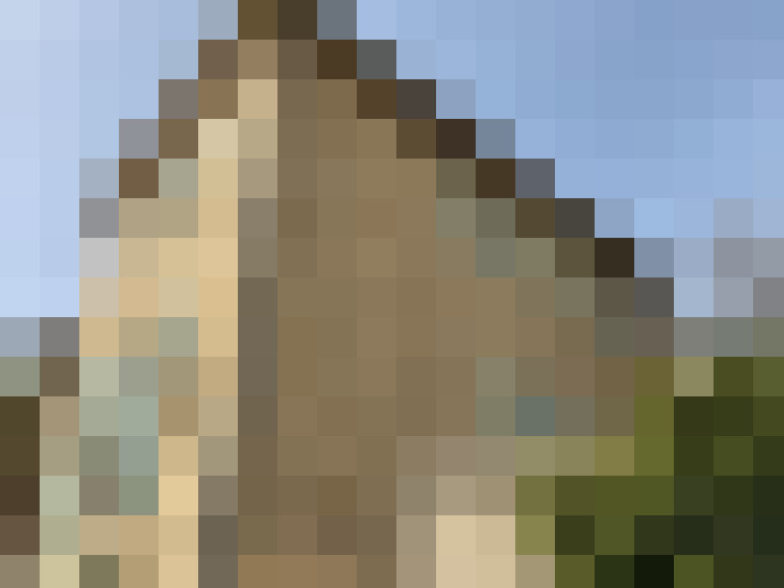  / #11