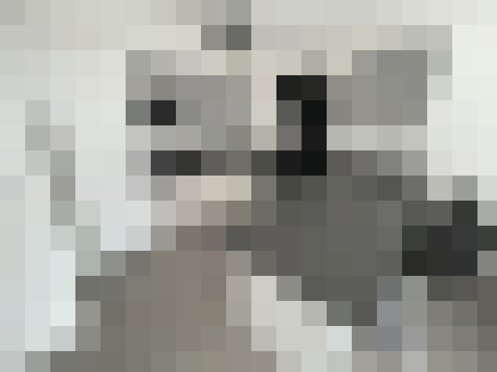  / #8