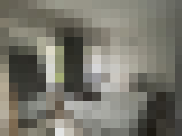  / #14