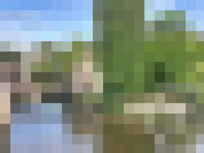  / #7