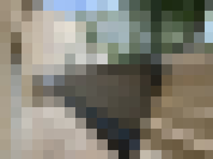  / #13