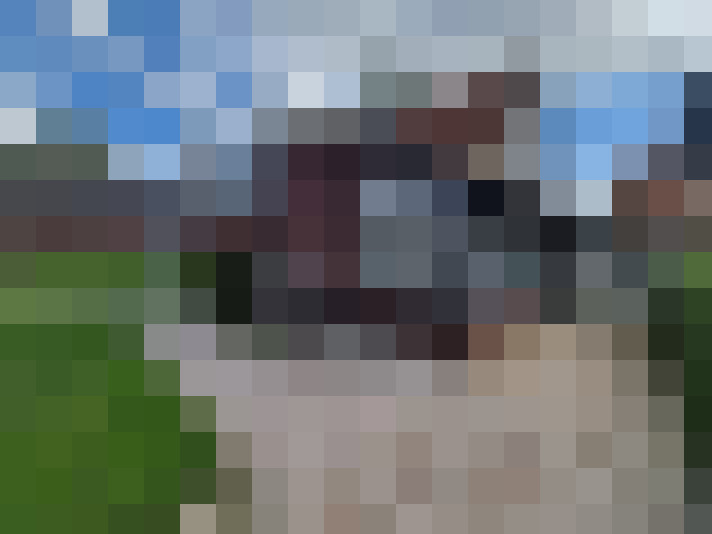 / #13