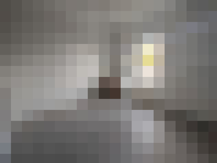  / #9