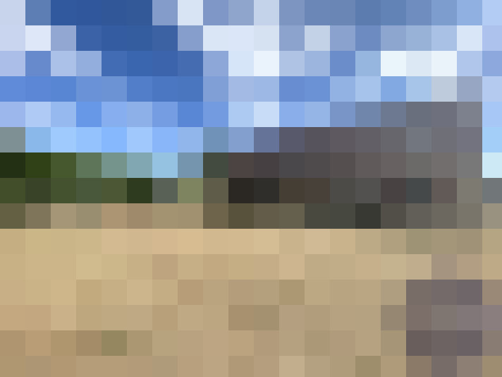  / #15