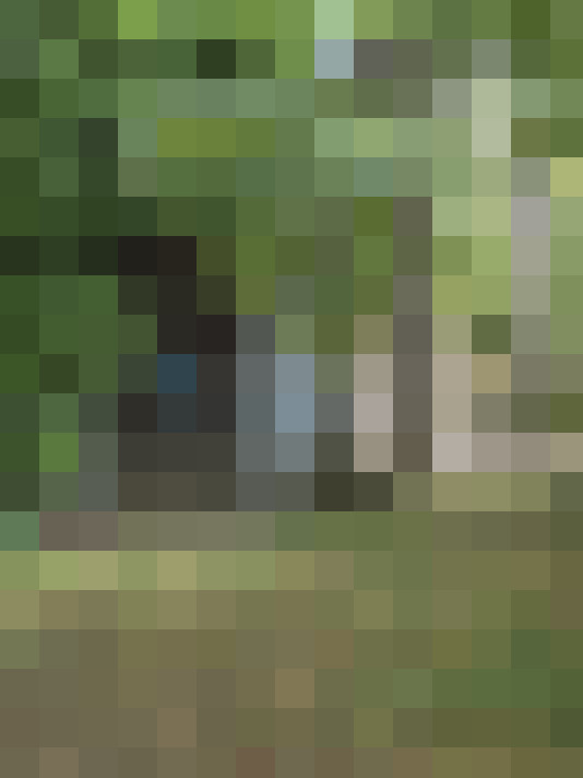  / #14