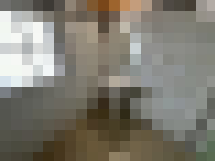  / #11