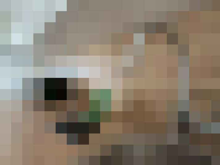  / #8