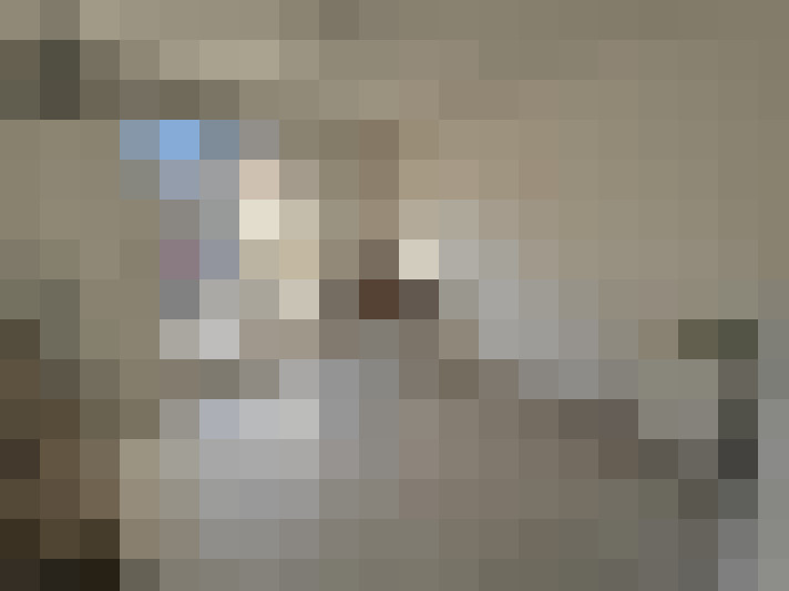  / #11