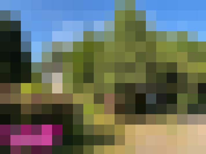  / #14