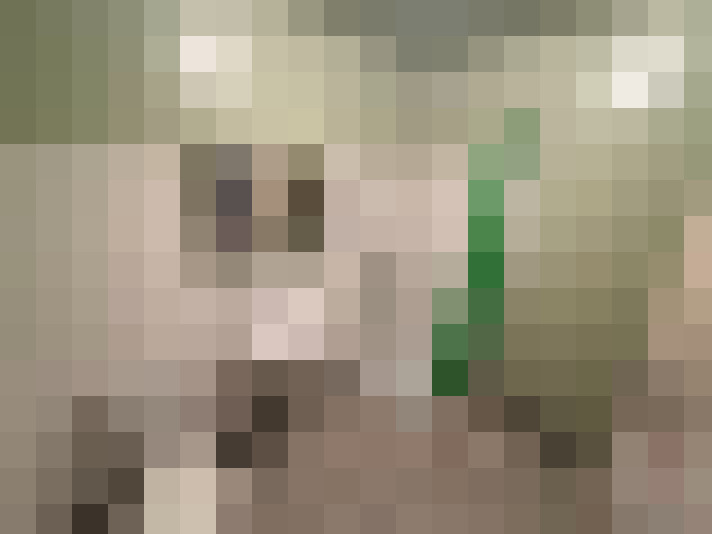  / #13