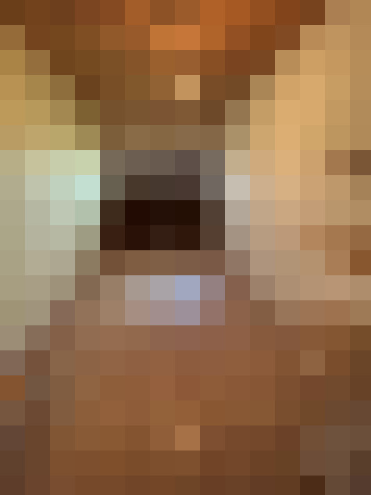  / #13