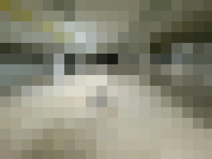  / #7