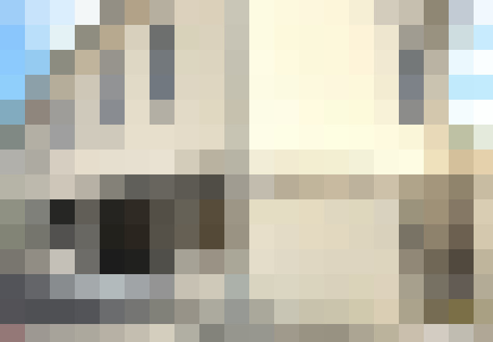  / #14