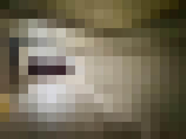  / #12