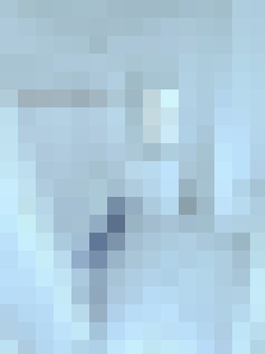  / #19