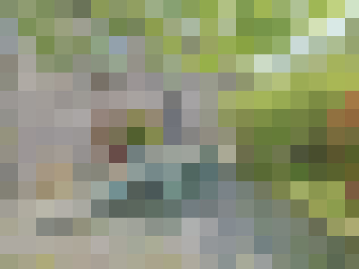  / #14