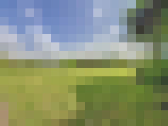  / #16
