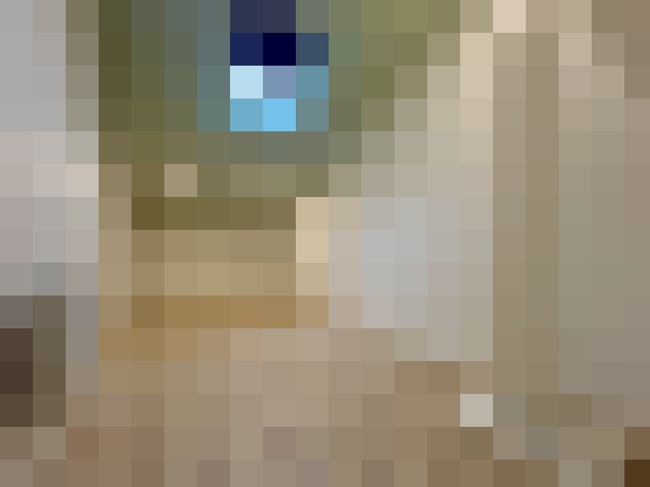  / #8