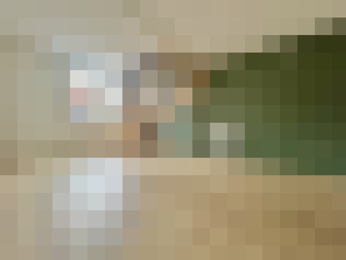  / #12