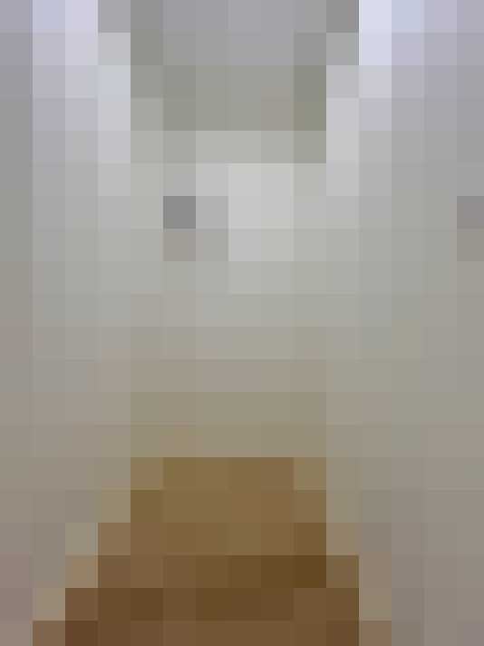  / #11