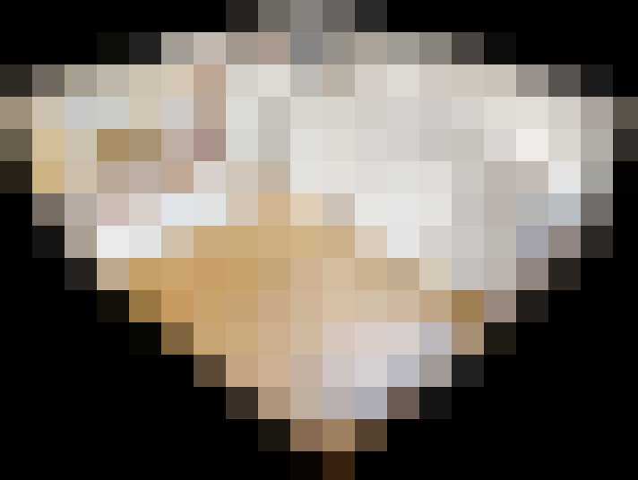  / #6