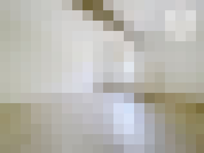  / #15