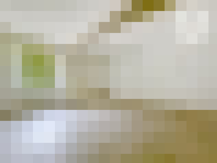  / #20