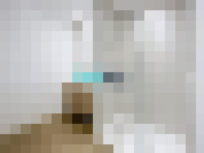  / #6