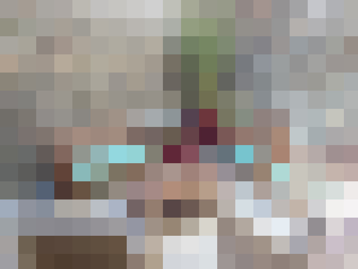  / #23