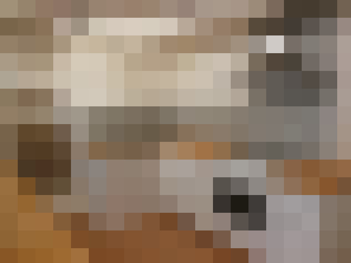  / #8