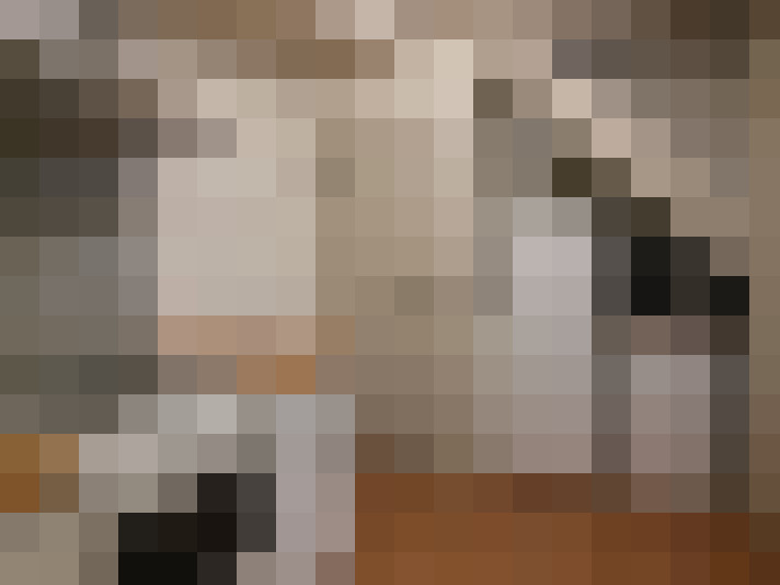  / #7