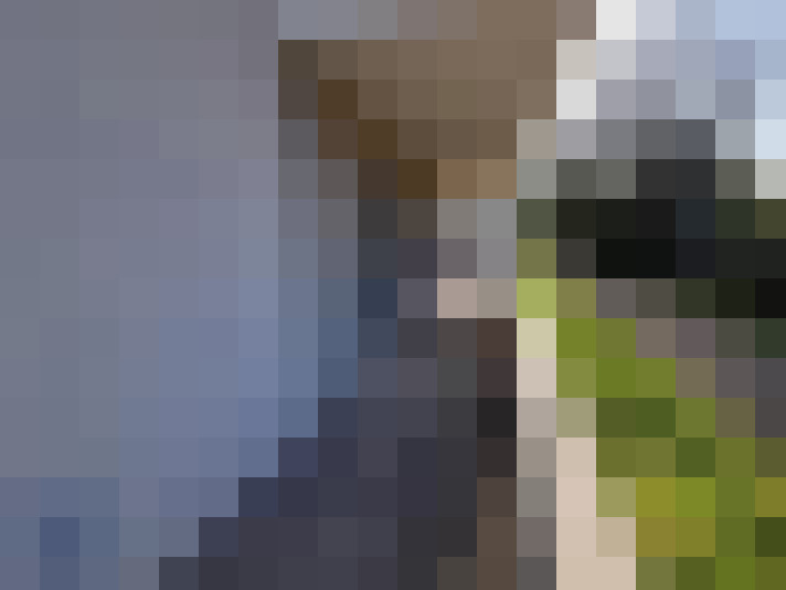  / #14