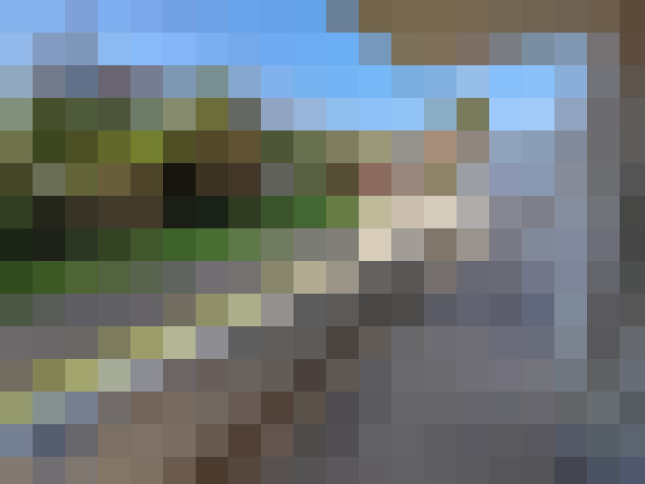  / #13