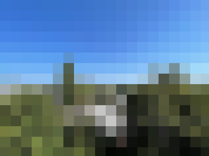  / #8
