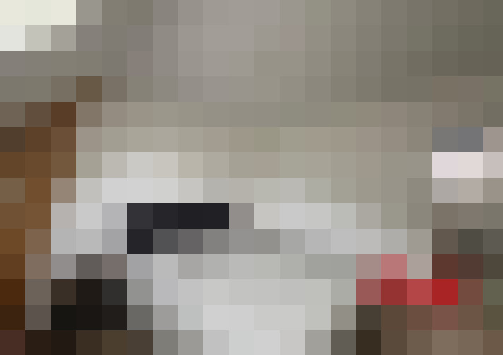  / #8