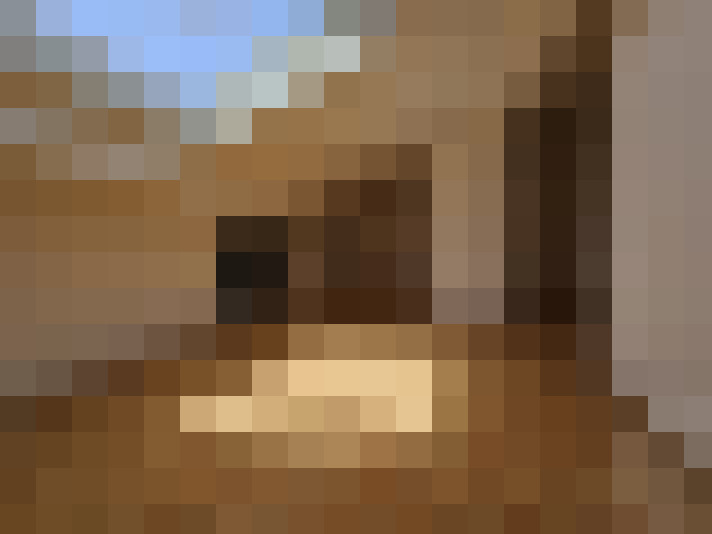  / #8