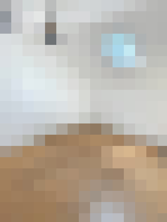  / #15