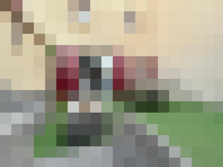  / #22